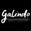 gordita galindo|Gordita Galindo Profiles .